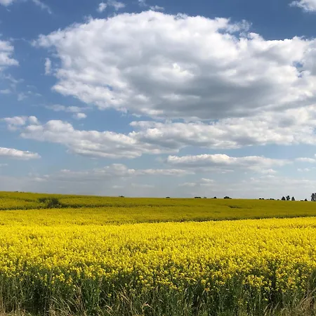 Lale Appartamento Wustrow (Mecklenburg-Strelitz)