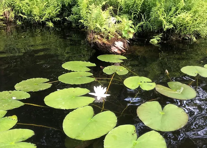 Lale Lägenhet Wustrow (Mecklenburg-Strelitz)