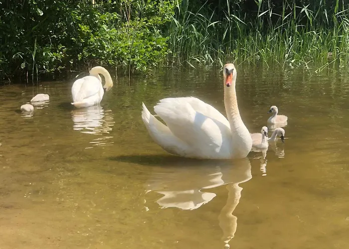 Lale Lägenhet Wustrow (Mecklenburg-Strelitz)